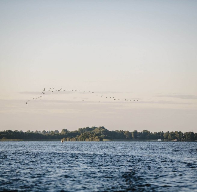 Experience nature at the Schaalsee // © MV-T/Roth Experience nature at the Schaalsee // © MV-T/Roth