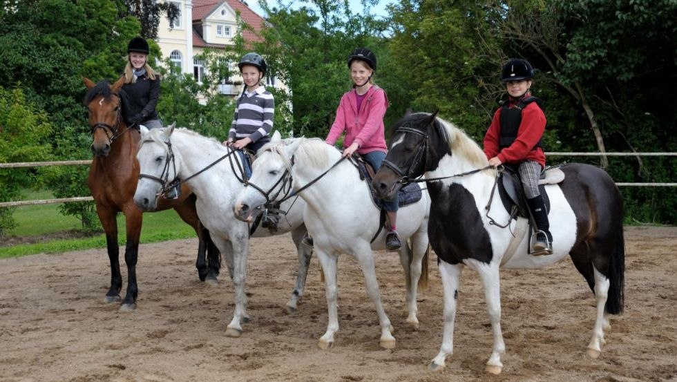 Paarden in de manege van Oberhof, © Margit Wild