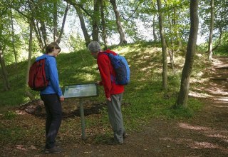 Eine Schautafel gibt einen &Uuml;berlick &uuml;ber die Wallanlage. // &copy; MV-T/outdoor-visions.com