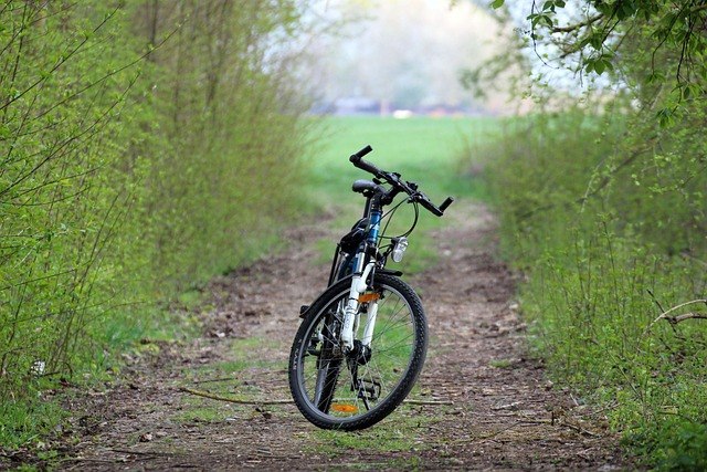 © bike-4127944_640.jpg © bike-4127944_640.jpg