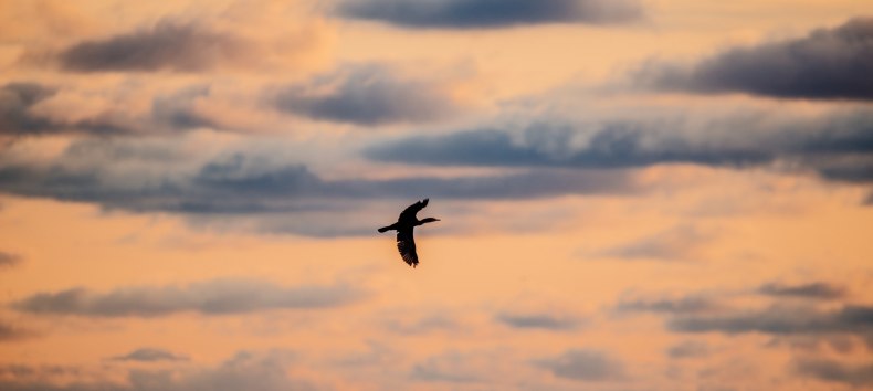 © Binzer Bucht Tourismus © Binzer Bucht Tourismus