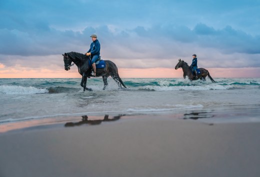 Dwóch jeźdźców na koniach jeździ po plaży o zachodzie słońca nad Morzem Bałtyckim na półwyspie Fischland-Darß-Zingst // Jazda o zachodzie słońca nad Morzem Bałtyckim na półwyspie Fischland-Darß-Zingst // © MV-T/Tiemann Dwóch jeźdźców na koniach jeździ po plaży o zachodzie słońca nad Morzem Bałtyckim na półwyspie Fischland-Darß-Zingst