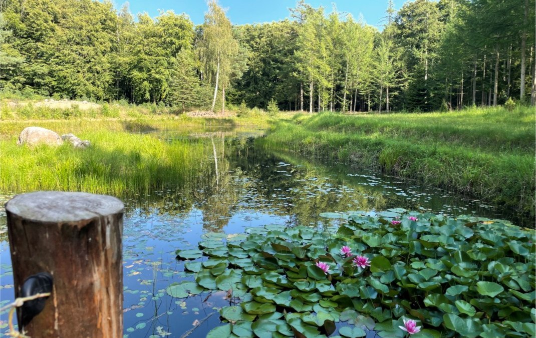 Natuur in harmonie, © Südliche Boddenküste