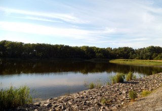 &copy; Heike Seelenbinder