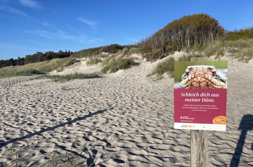 #naturallyWithResponsibility
Dziękujemy za niechodzenie po wydmach. Są one siedliskiem wielu zwierząt i zapewniają ochronę przed powodziami i burzami., © TMV/Rohde