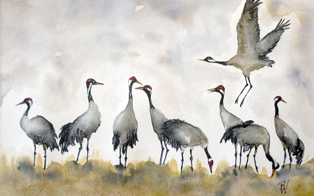 Dans van de kraanvogels | Birgit Will, © Birgit Will