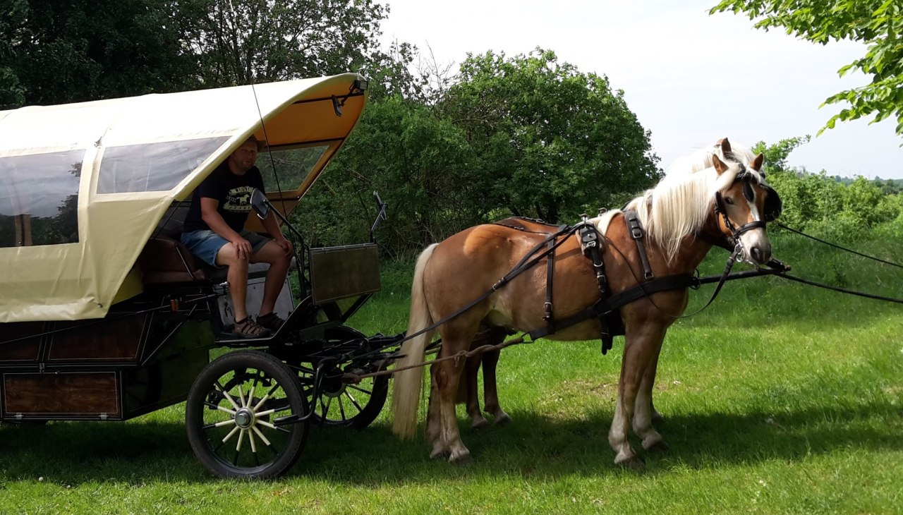 Guaranteed to be an experience for young and old, © Katrin Krüger