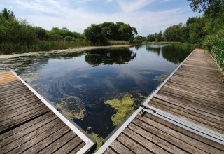 © TV Mecklenburg-Schwerin e.V. © TV Mecklenburg-Schwerin e.V.