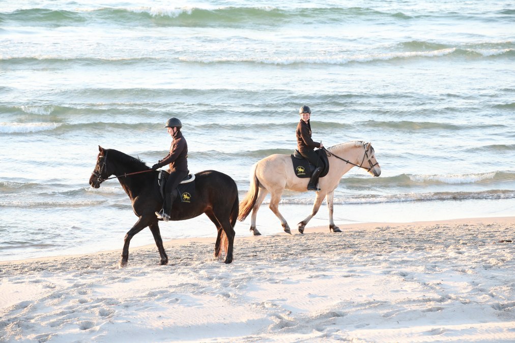 Horse riding on the beach, © TMV/ACP Pantel