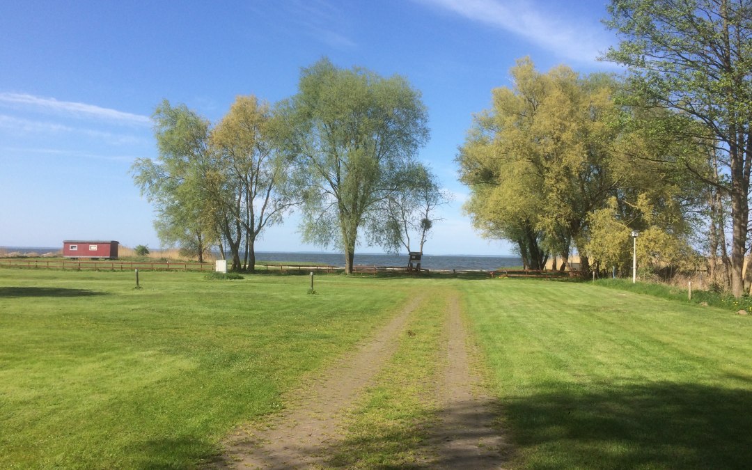 Het vakantiepark Ueckermünde-Bellin biedt staanplaatsen met directe toegang en uitzicht op het strand aan de Lagune van Szczecin., © Ferienpark Ueckermünde-Bellin GmbH