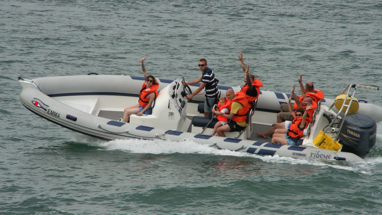 Emma the Ribeye // &copy; Ostsee-Cruising