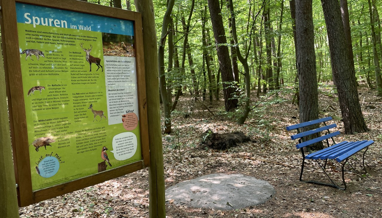 Kto tam szedł? Wyruszamy na poszukiwanie wskaz&oacute;wek!, &copy; TZ S&uuml;dliche Boddenk&uuml;ste
