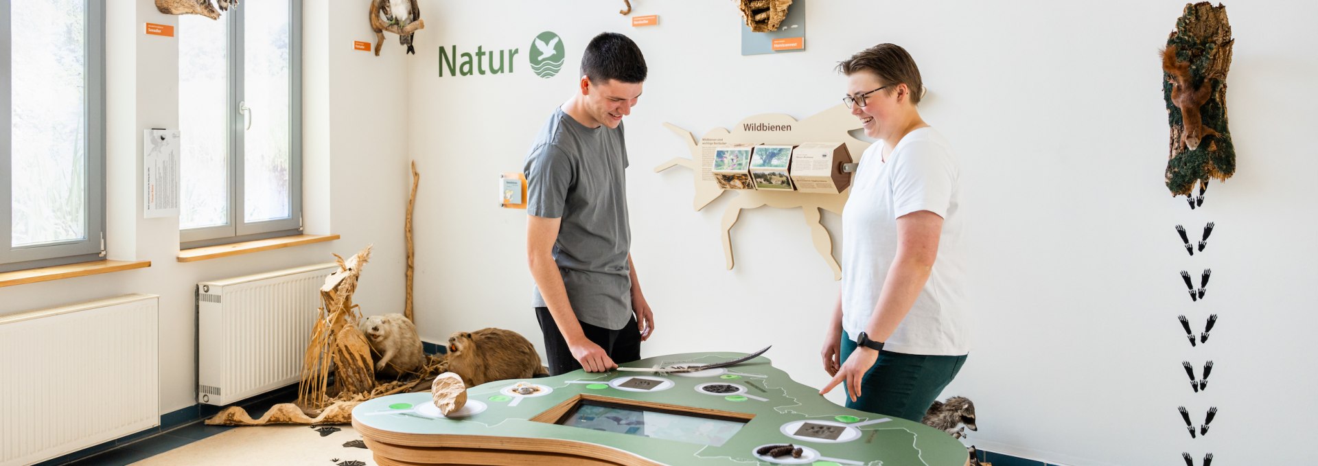 At the nature park center in Warin, the three friends learn about the animals that live around the Sternberg Lakes. Even the white-tailed eagle is increasingly reclaiming its territory here!, © TMV/Gross Warin / Sternberger Seenland Nature Park Center - two friends look at the exhibits