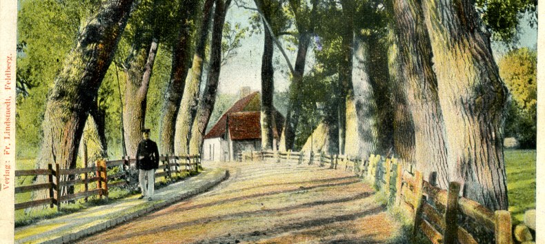 © Frank Schütze © Frank Schütze