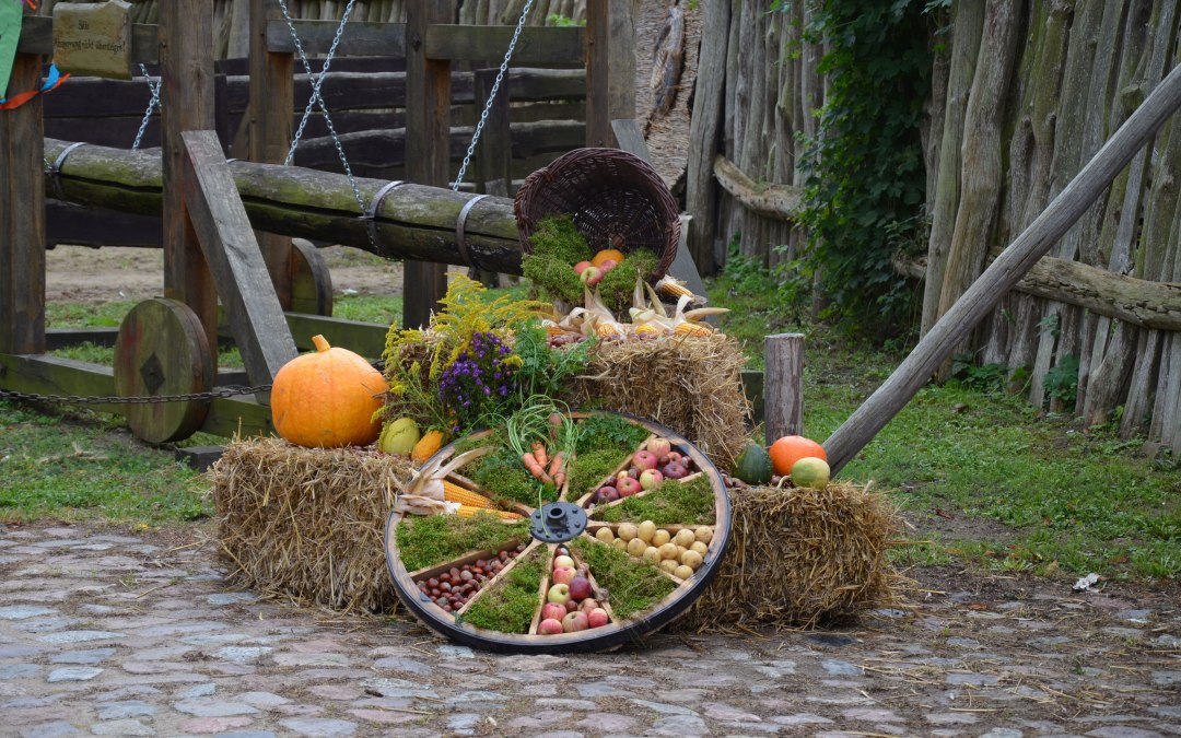 Harvest festival on the Hanseviertel, © Hansestadt Demmin