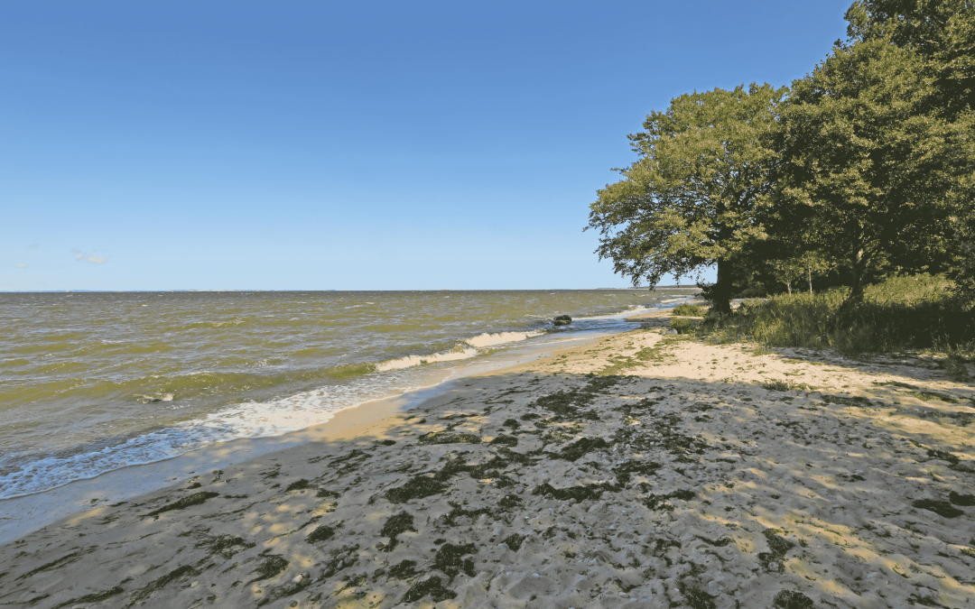 Beautiful sandy beach, © TMV/Gohlke