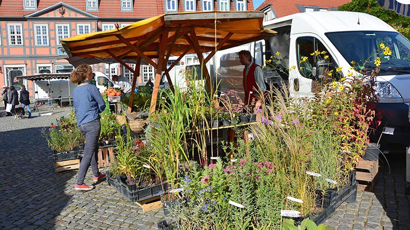 Groenmarkt Waren (Müritz), © Waren (Müritz) Kur- und Tourismus GmbH