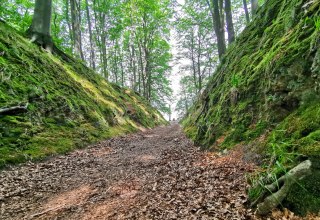 Granitz nature reserve on Rügen
Devil's Gorge near Binz // © Biosphärenreservat Südost-Rügen Granitz nature reserve on Rügen
Devil's Gorge near Binz // © Biosphärenreservat Südost-Rügen