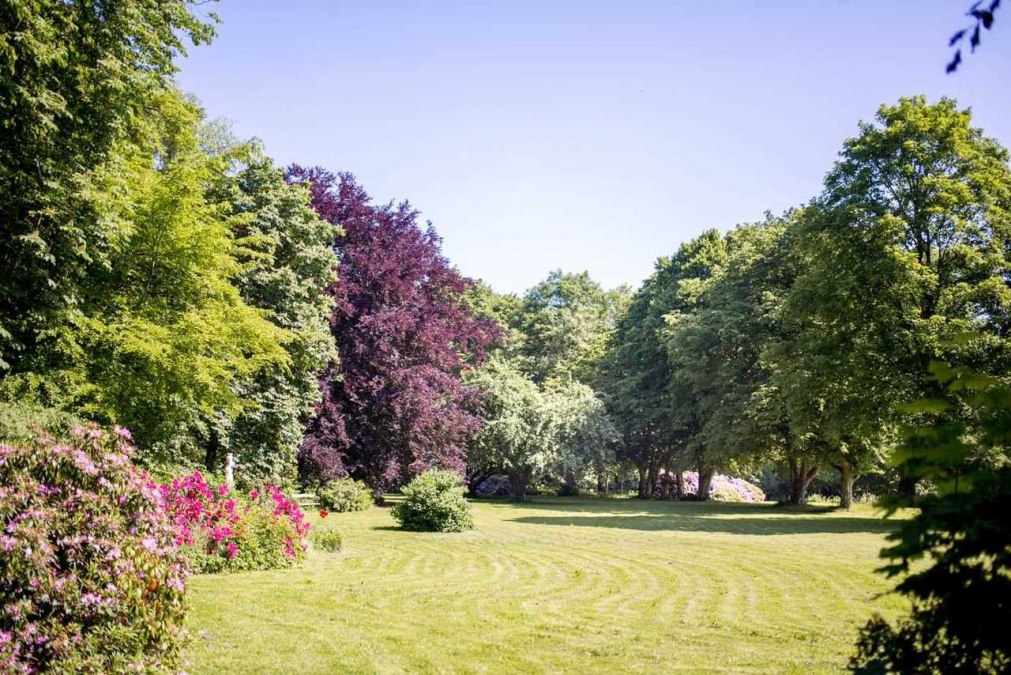 Rhododendron bushes in the park, © Herrenhaus Samow