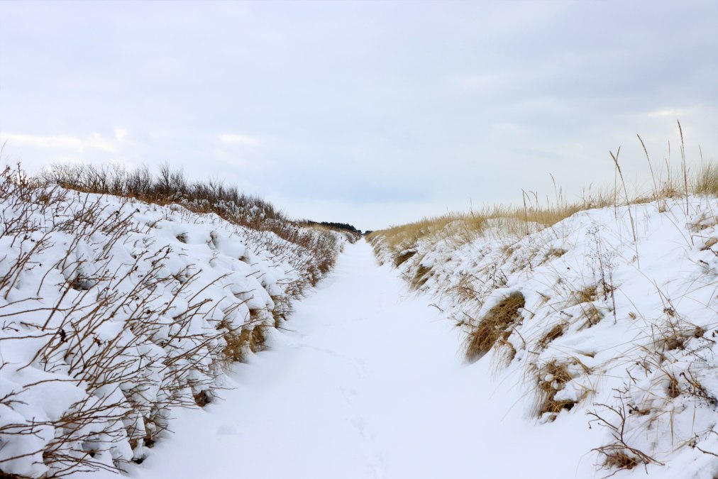 Poznaj wyspę Hiddensee, © Weiße Flotte GmbH Poznaj wyspę Hiddensee, © Weiße Flotte GmbH