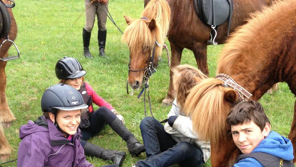 De IJslandse paardenboerderij Fischland nodigt iedereen uit om te leren paardrijden // © Islandpferdehof Fischland/ Olaf Fretwurst De IJslandse paardenboerderij Fischland nodigt iedereen uit om te leren paardrijden // © Islandpferdehof Fischland/ Olaf Fretwurst