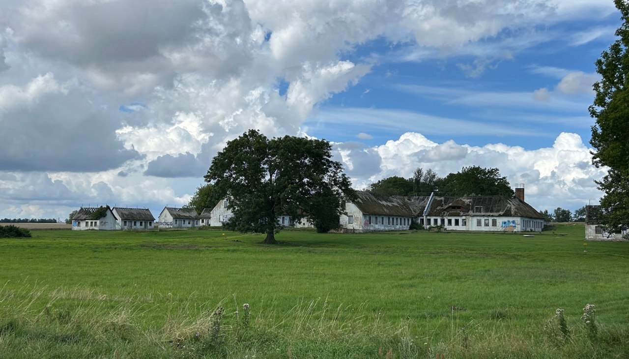 hanomag-safari-halbinsel-zudar-3, &copy; Volker Barthmann