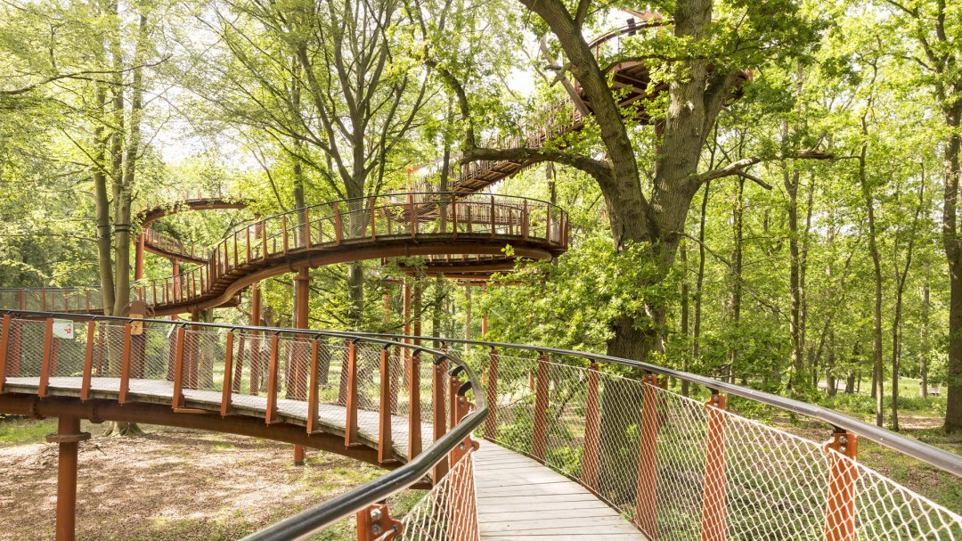 baumkronenpfad, © Landesforst MV baumkronenpfad, © Landesforst MV