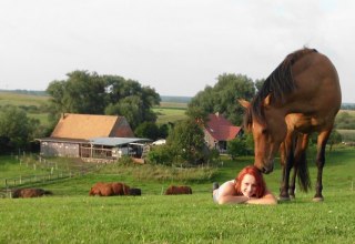 Auf dem Hof Silberweide dem Alltag entfliehen // &copy; Hof Silberweide/ Alrun Romanus