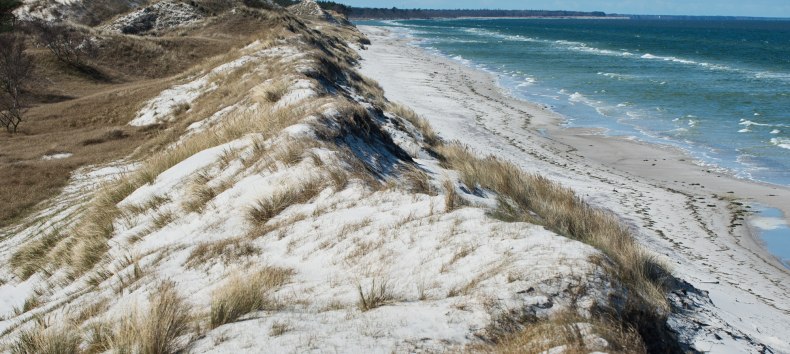 &copy; Nationalpark Vorpommern/ M.Timm