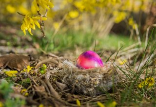 &copy; easter-egg-7894939_1920 (1).jpg