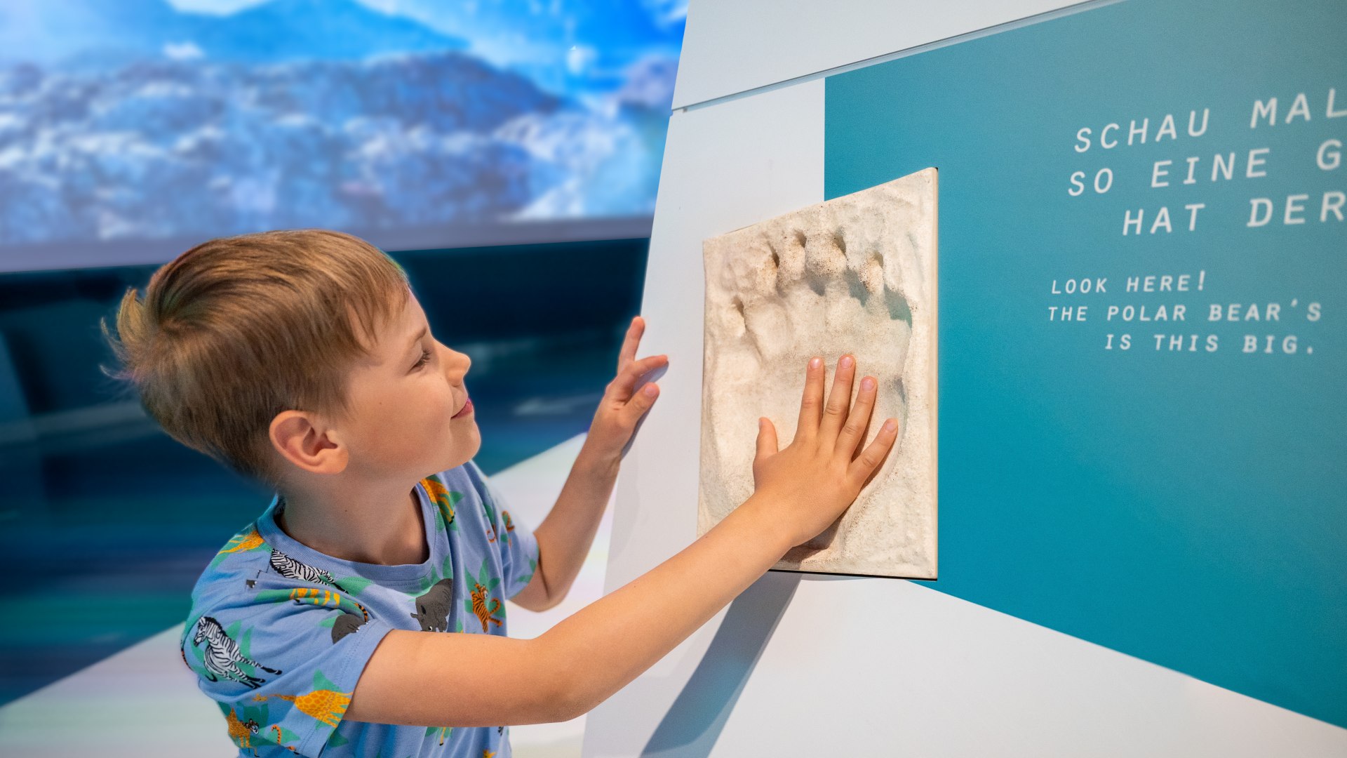 An imprint of a polar bear's paw at Rostock Zoo and a child puts his hand in it to better represent the relationship.