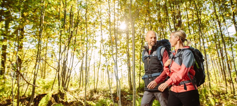Wandern in der Rostocker Heide // © TZRW_T.Roth Wandern in der Rostocker Heide // © TZRW_T.Roth