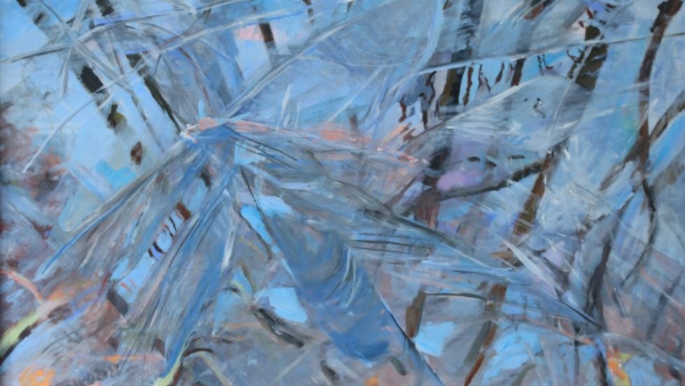 frozen, © Erika Hartung frozen, © Erika Hartung