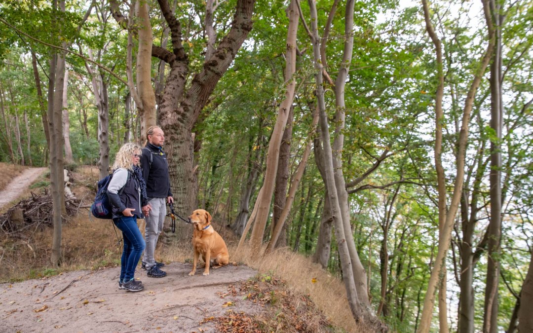 Wandeling hondenmisdaad (c) Kurverwaltung Goehren - Martin Stoever, © Kurverwaltung Goehren / Martin Stoever