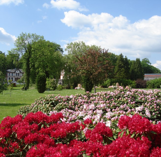 © Kur- und Tourismus GmbH Waren (Müritz) © Kur- und Tourismus GmbH Waren (Müritz)