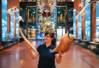 © Anke Neumeister/Deutsches Meeresmuseum © Anke Neumeister/Deutsches Meeresmuseum