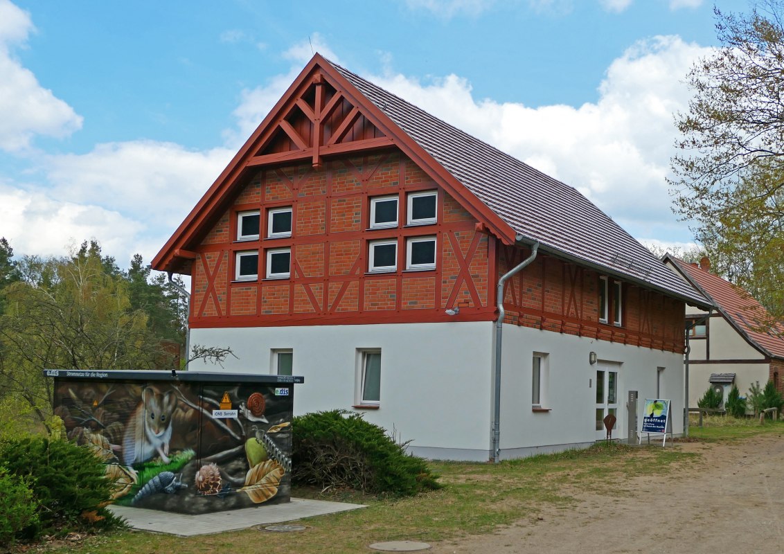 Tutaj znajdą Państwo informacje na temat siedliska lasu bukowego. // © Wiebke Döbbert Tutaj znajdą Państwo informacje na temat siedliska lasu bukowego. // © Wiebke Döbbert