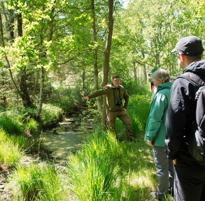 &copy; Nationalparkamt Vorpommern