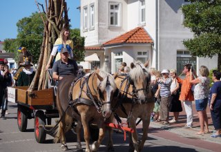 &copy; Festumzug