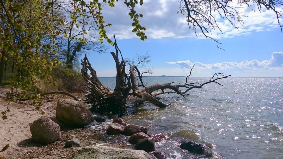 Station 10: Reflection at the water oaks, © TMV/UB Station 10: Reflection at the water oaks, © TMV/UB