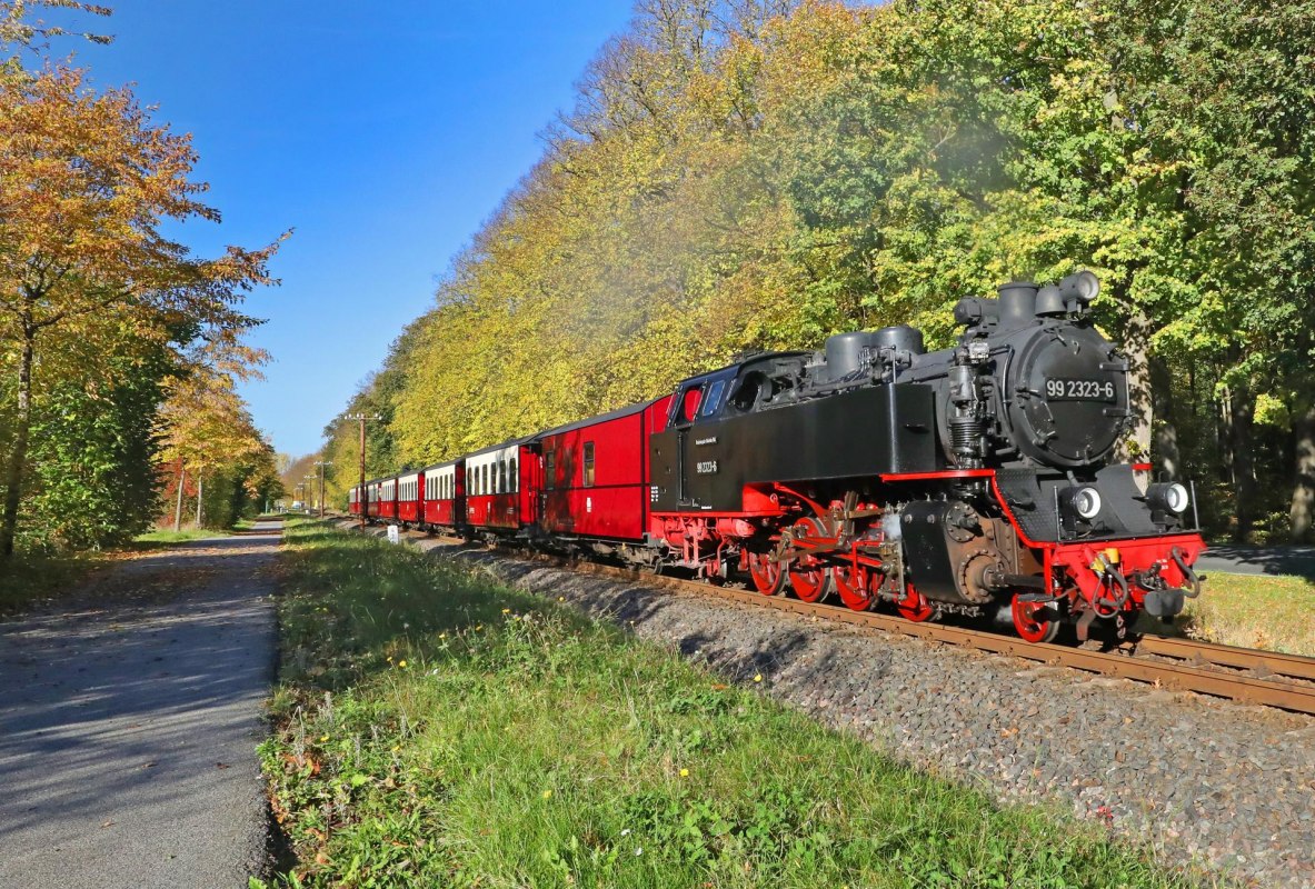 The Molli between Bad Doberan - Heiligendamm - K&uuml;hlungsborn, &copy; TMV/Gohlke