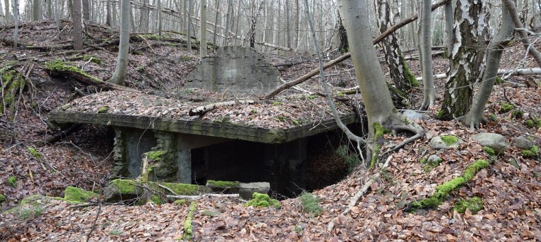 Structurele sporen van het satellietkamp Neubrandenburg op de locatie Waldbau // &copy; Bianka B&uuml;low