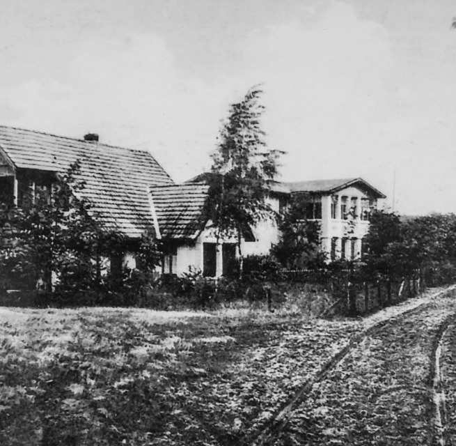 © Stubb_Klee.jpg
