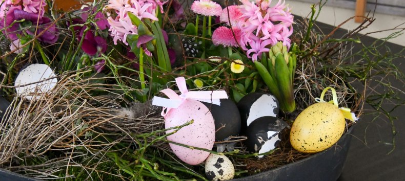 &copy; B&Auml;RENWALD M&uuml;ritz | Manuela Klier