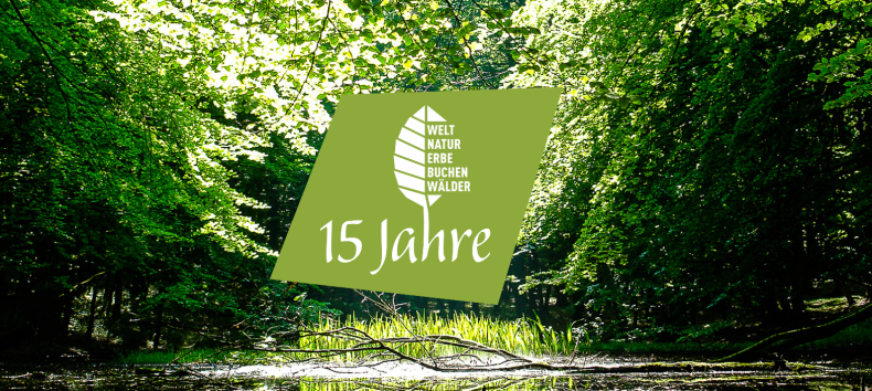 &copy; Nationalpark-Zentrum K&Ouml;NIGSSTUHL