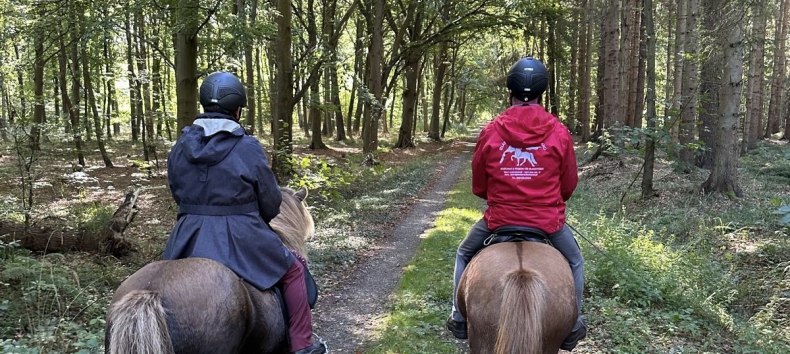 Riding through the Darß Forest // © Islandpferdehof Fischland Riding through the Darß Forest // © Islandpferdehof Fischland