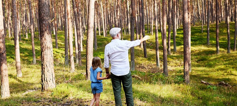 © SEETELHOTELS © SEETELHOTELS