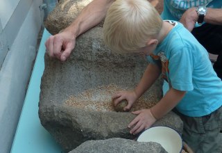 &copy; Meike Jezmann