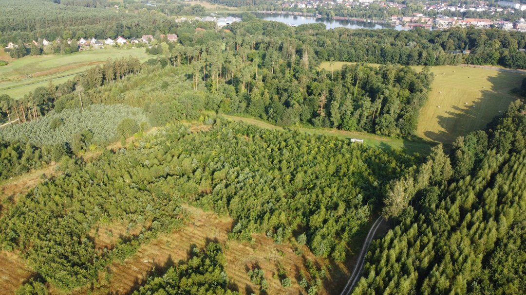 Klimatyczny las Fleesensee zdjęcie lotnicze, © Landesforst MV