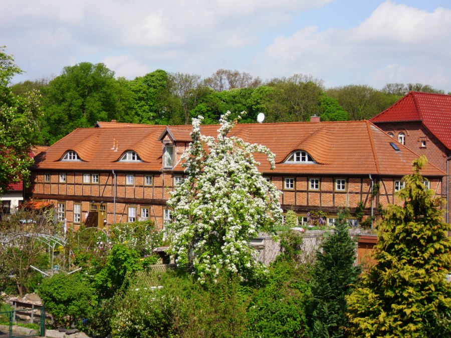 DSCI0061, © M.Höppner